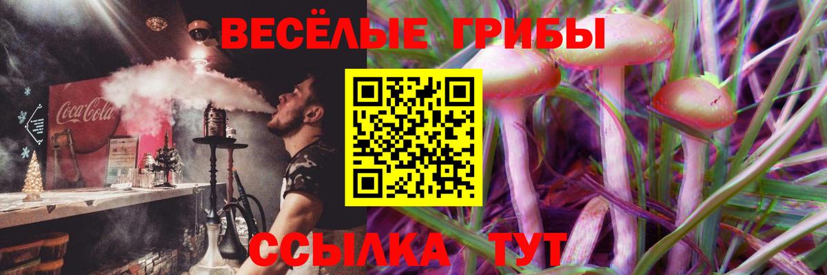 Галлюциногенные грибы ЛСД Михайловка