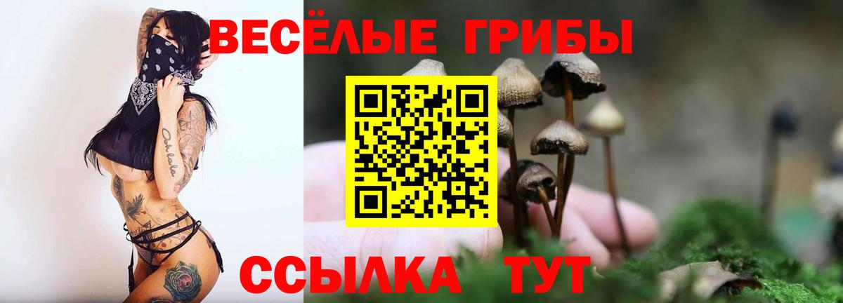 Галлюциногенные грибы мухоморы  Вход с VPN  цена наркотик  Михайловка 